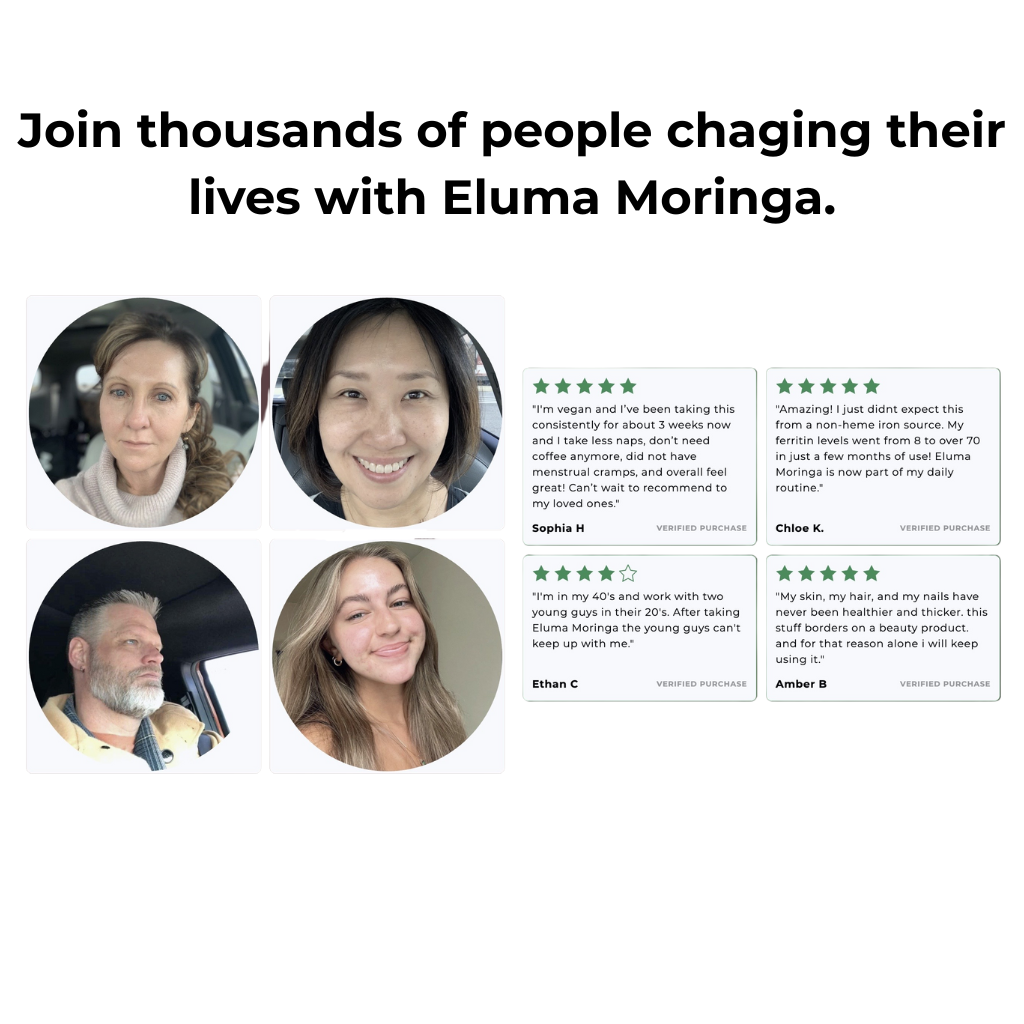 Pure Moringa Capsules – 90+ Bioavailable Nutrients That Fix What Traditional Supplements Can't Touch